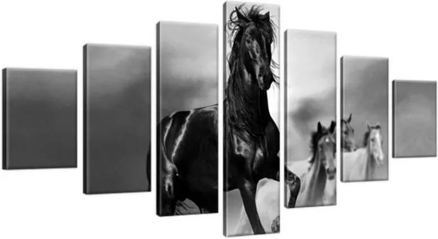 Obraz na plátne Pozorný čierny kôň 210x100cm 2501A_7A