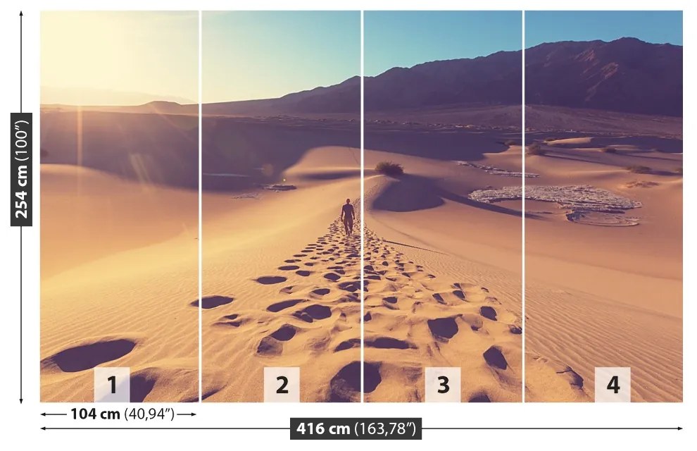 Fototapeta Vliesová Piesočná púšť 250x104 cm