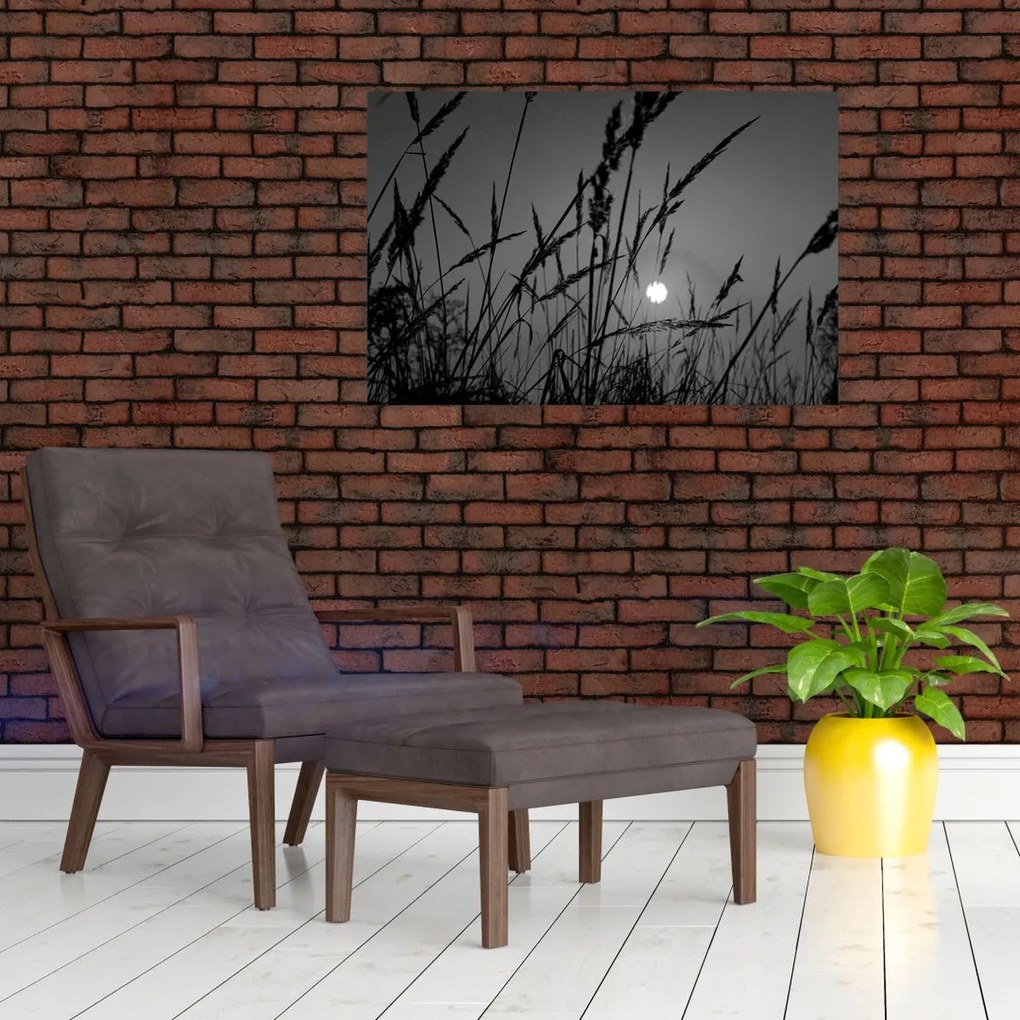 Obraz - Lúka so západom slnka (90x60 cm)