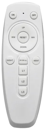 LED Stmievateľné stropné svietidlo FLORANCE 2xLED/30W/230V