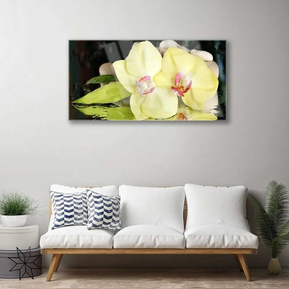 Skleneny obraz Okvetné plátky orchidea 140x70 cm