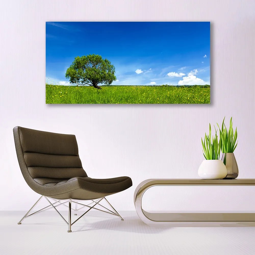Obraz na akrylátovom skle Tráva strom príroda 120x60 cm