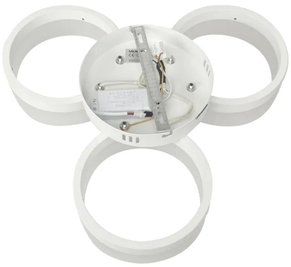LED Stropné svietidlo RING 3xLED/12W/230V biele