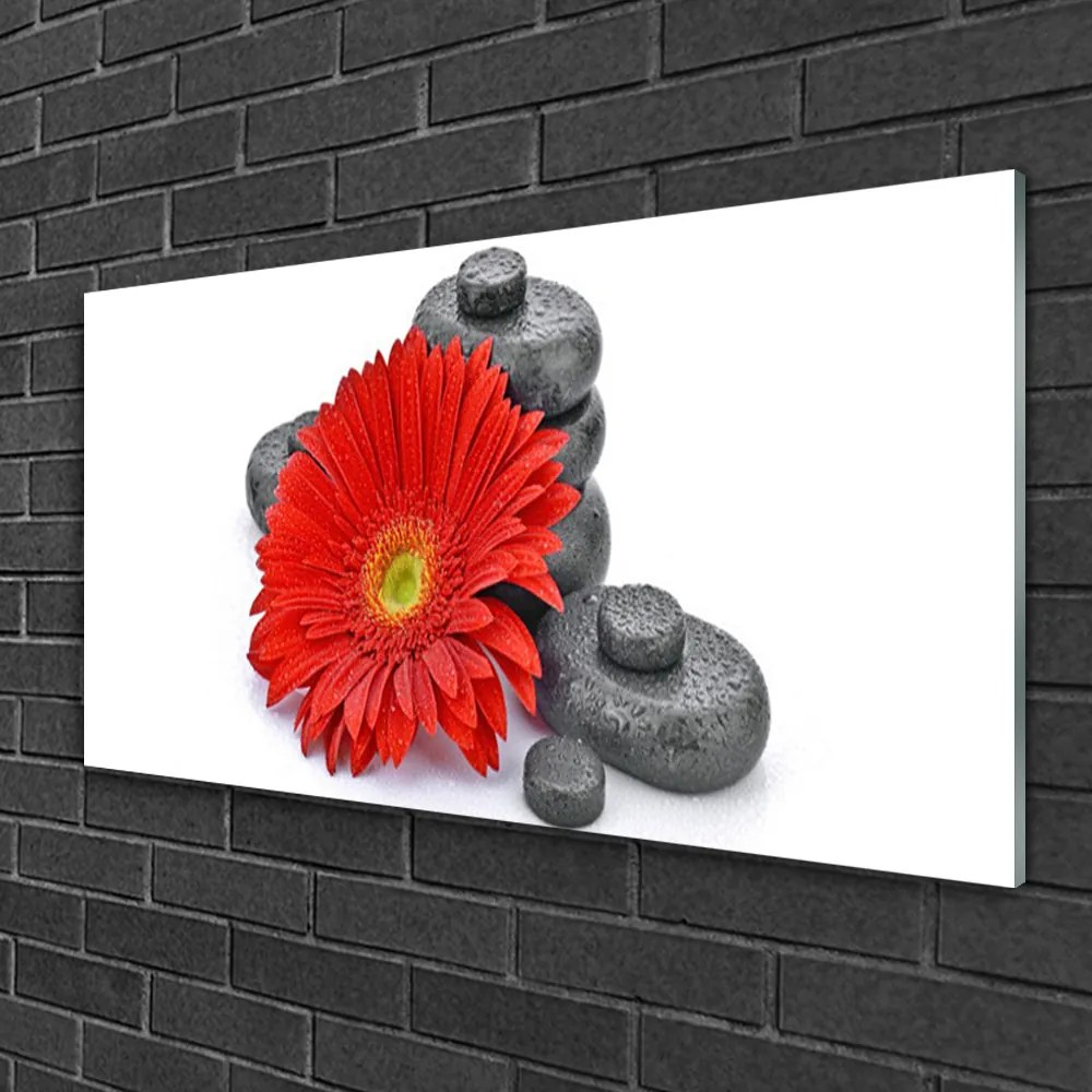 Skleneny obraz Kvety gerbery kamene zen 120x60 cm