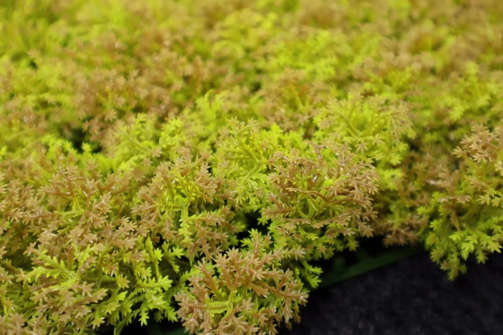 Umelý rastlinný panel KATE MOSS 50 x 50 cm - Panel 50x50 Europe Grass