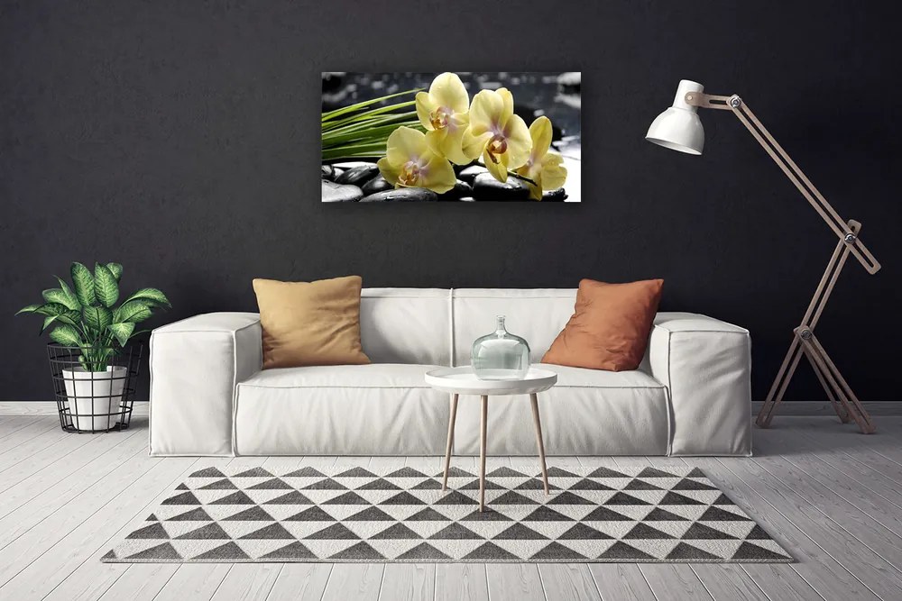Obraz na plátne Kvety rastlina príroda 125x50 cm