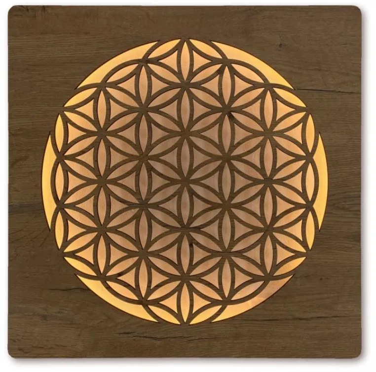 Obraz Kvet života s led podsvietením na batériu