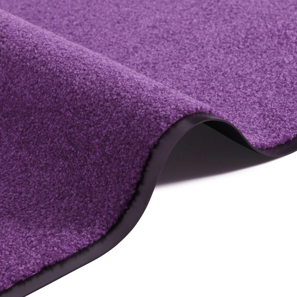 Hanse Home Collection koberce Rohožka Wash & Clean 103838 Violett - 40x60 cm