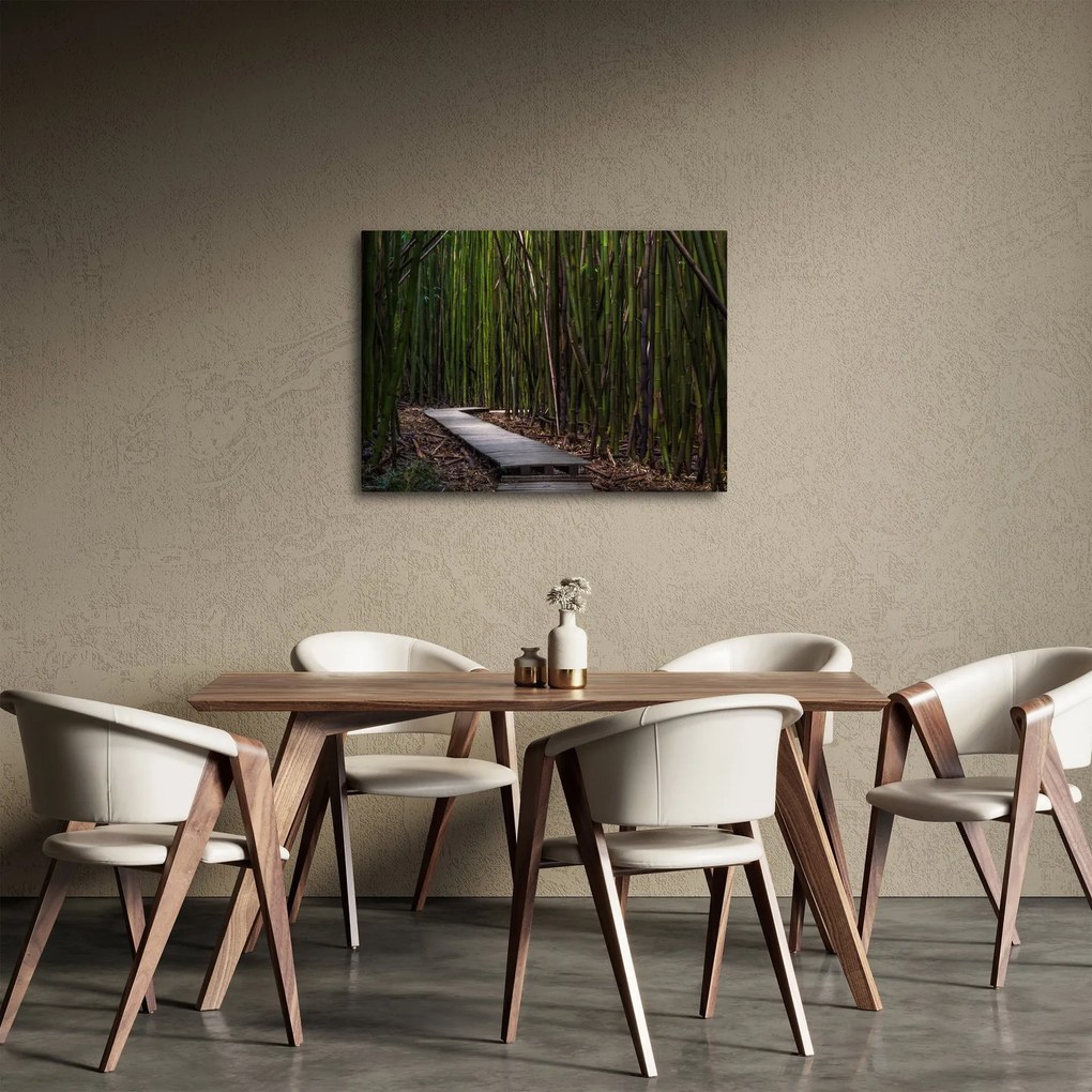 Obraz - Medzi bambusy (70x50 cm)