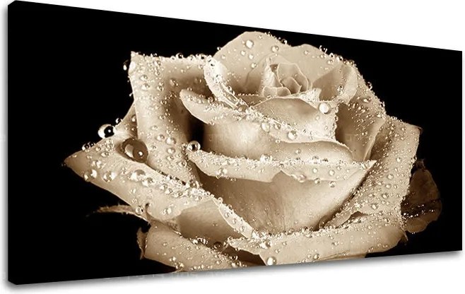 Obraz na stenu Panoráma KVETY XOBKV109E13 - 70x140 cm