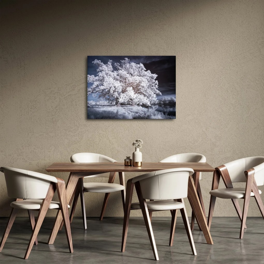 Obraz - Snehobiely strom (70x50 cm)