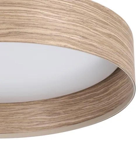 Eglo 900463 - LED Stropné svietidlo LUPPINERIA LED/24W/230V