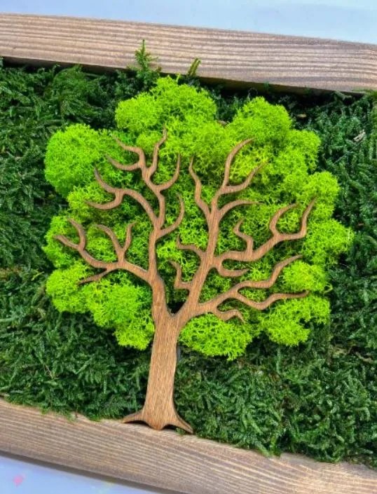 Obraz Strom z machu 20x30 cm