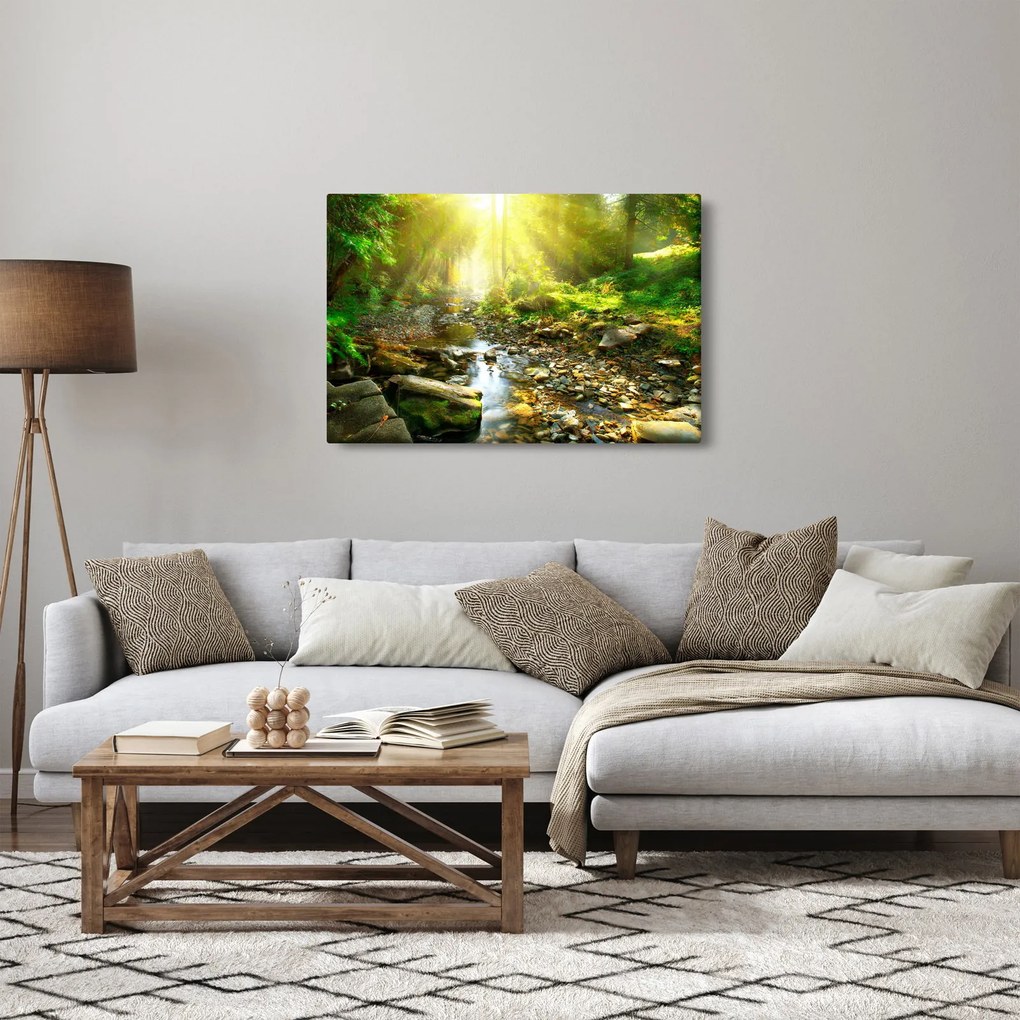 Obraz rieky v zelenom lese (90x60 cm)