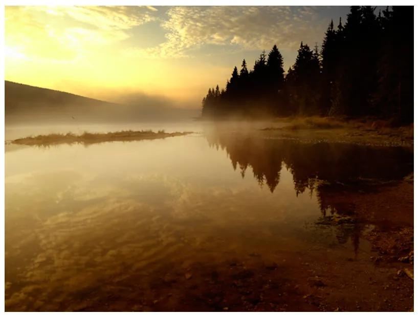 Artgeist Fototapeta - Forest and lake Veľkosť: 200x154, Verzia: Standard