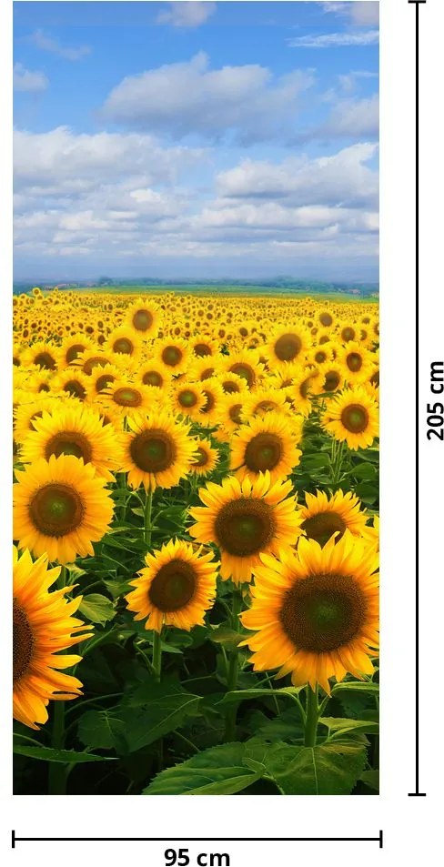 Fototapeta na dvere - Slnečnicové pole (95x205cm)