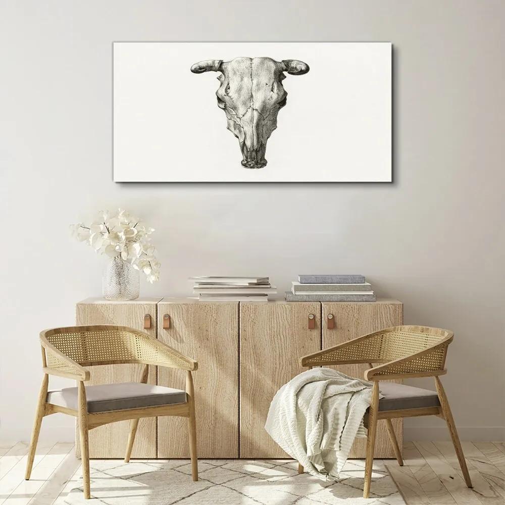 Obraz na plátne Kreslenie zvieracie kravy lebka