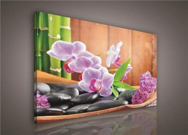 Obraz na stenu orchidea s kameňami 100 x 75 cm