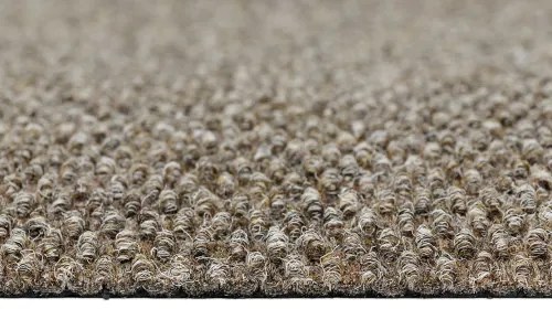 Koberce Breno Čistiaca zóna NOVA NOP 19, šíře role 200 cm, béžová, viacfarebná