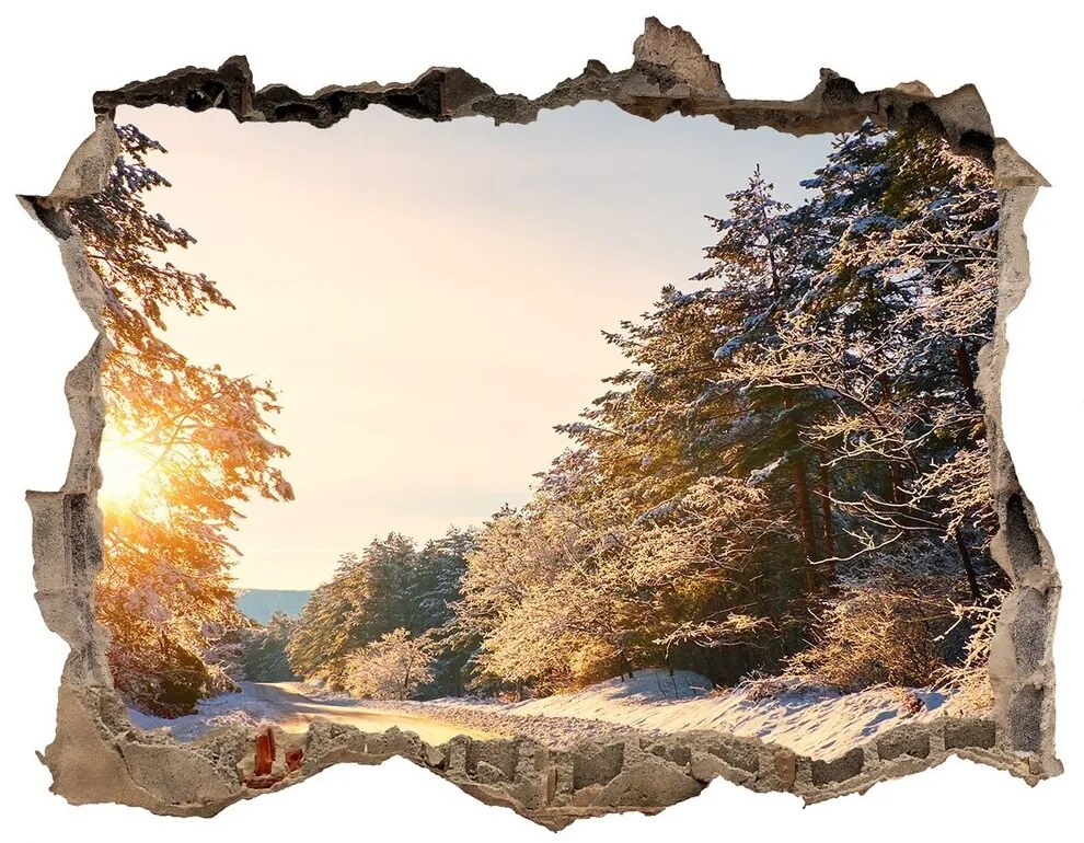 Nálepka fototapeta 3D Cesty v lese v zime nd-k-77332313