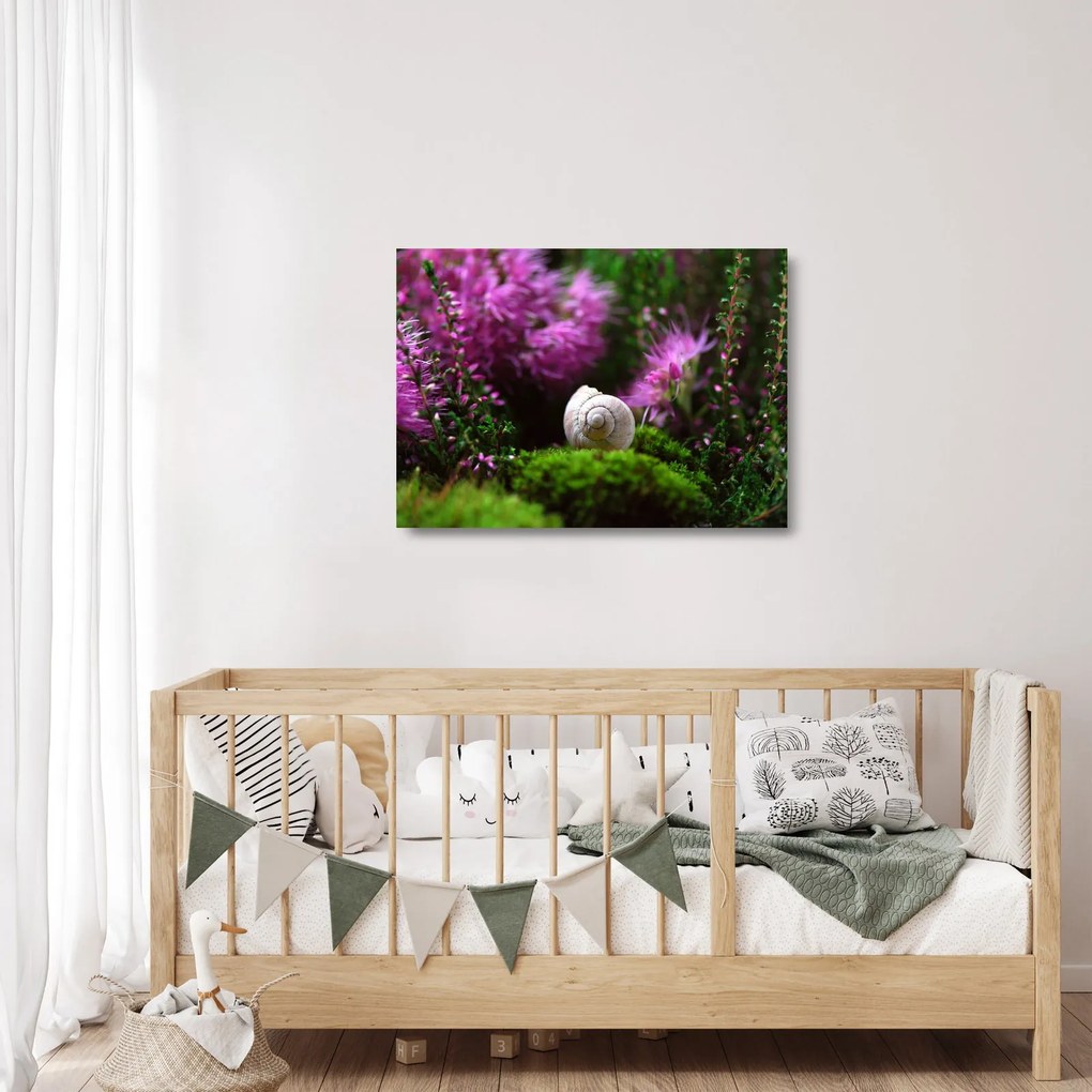 Sklenený obraz - Slimáková ulita (70x50 cm)