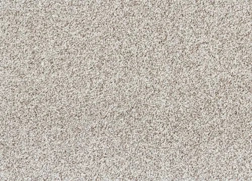 Koberce Breno Metrážny koberec DALESMAN 69, šíře role 400 cm, béžová, viacfarebná