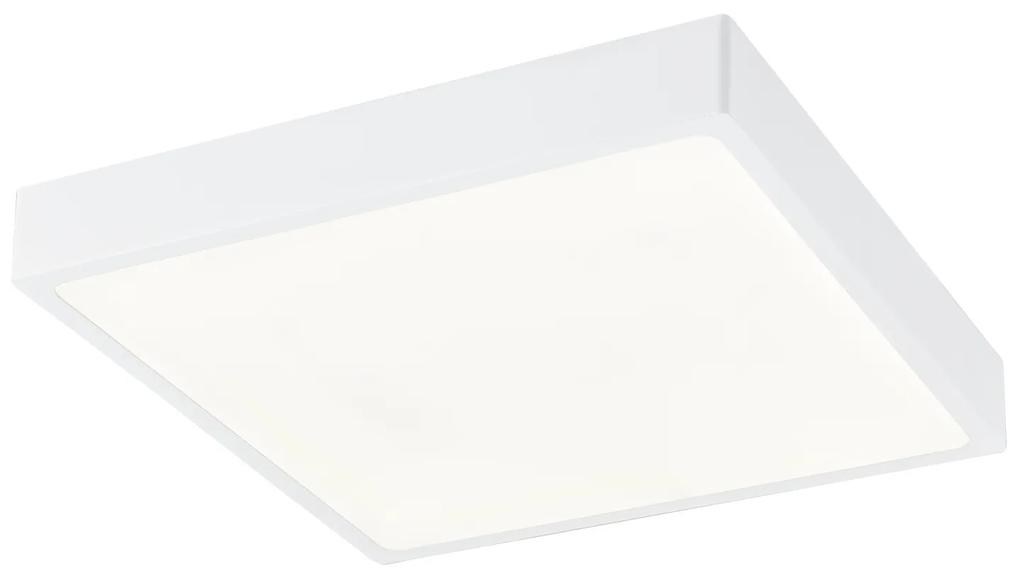 GLOBO LED stropné prisadené svietidlo ALENA, stmievateľné, denná biela, 22x22cm, hranaté