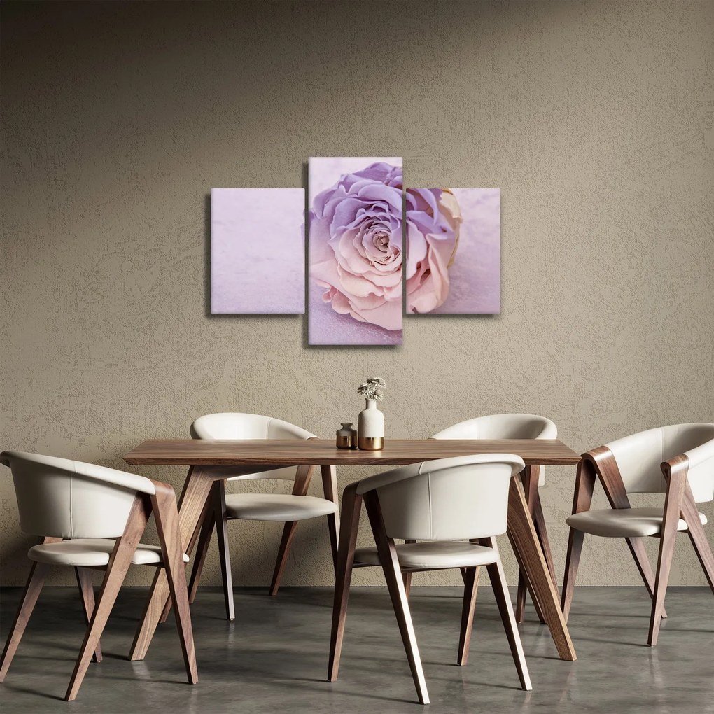 Obraz detailu kvetu ruže (90x60 cm)