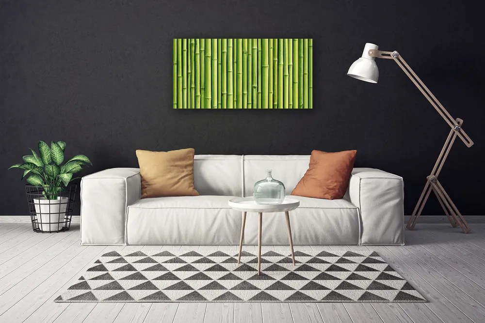 Obraz Canvas Bambus rastlina príroda 140x70 cm