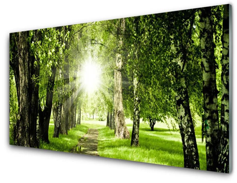 Obraz plexi Les slnko chodník príroda 120x60 cm