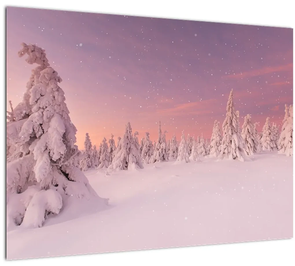Sklenený obraz - Stromy pod snehovou prikrývkou (70x50 cm)