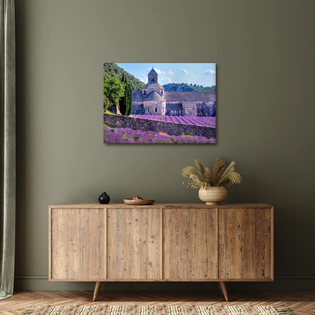 Obraz - Levanduľové pole (70x50 cm)