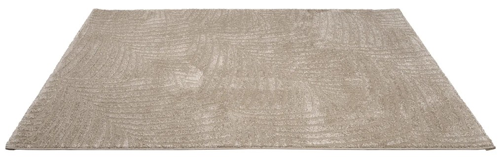 Dekorstudio Jednofarebný koberec FANCY 648 - béžový Rozmer koberca: 160x230cm