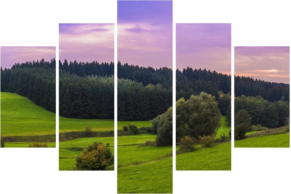 Obraz lúky (150x105 cm)