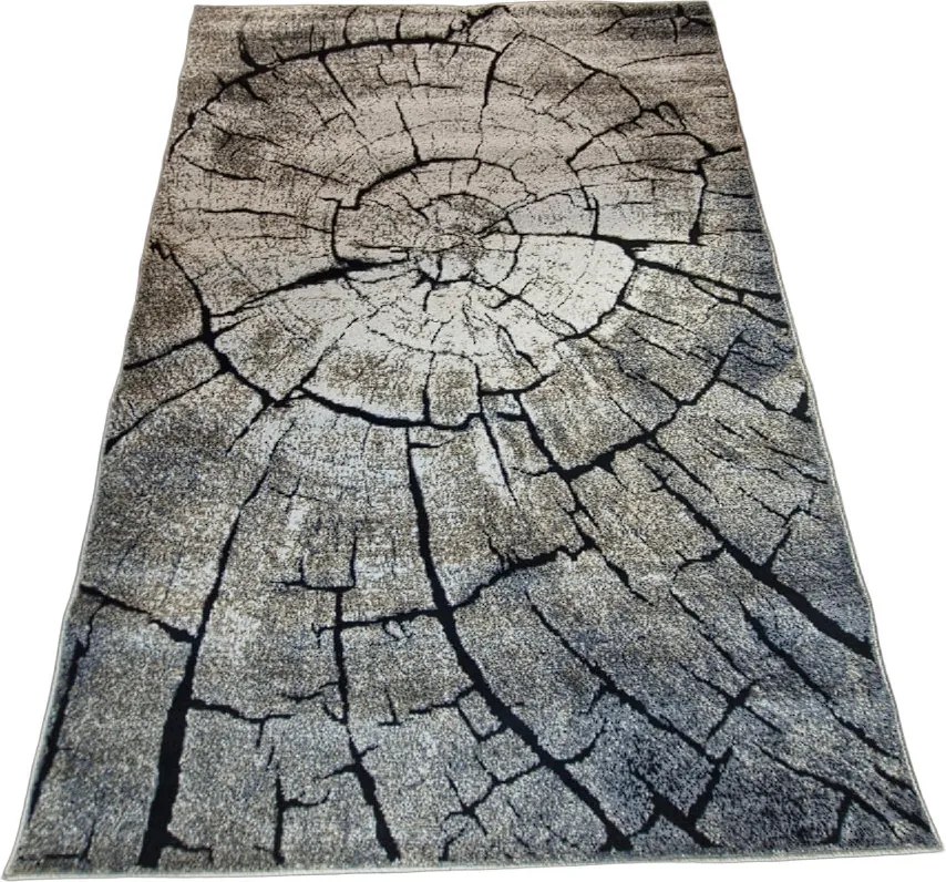 Hnedý koberec Loft so vzorom dreva – obdĺžnikový, prírodný štýl Rozmer: 300x400 cm