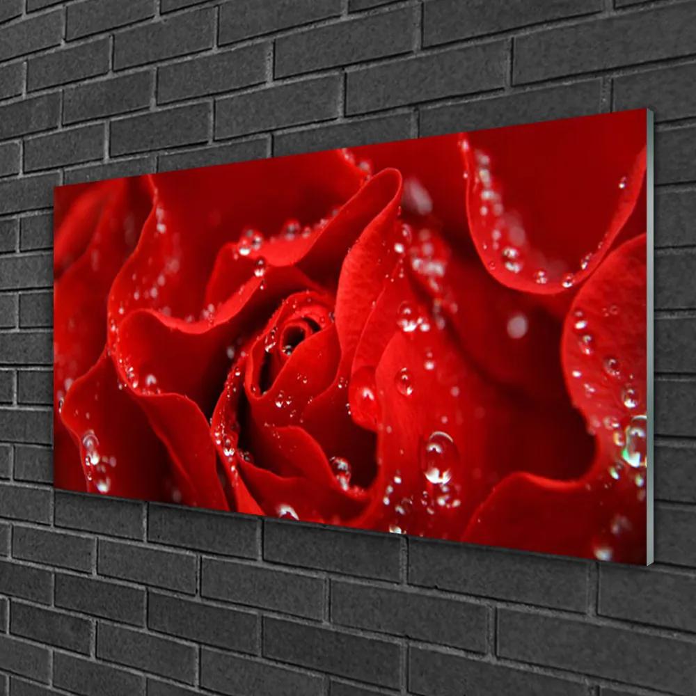 Obraz na skle Ruže kvet rastlina 120x60 cm