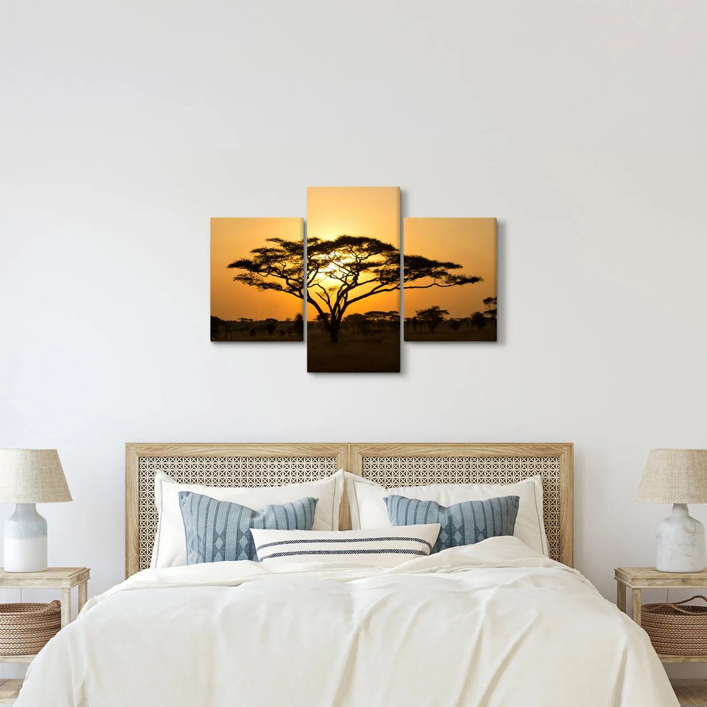 Obraz - Africká savana (90x60 cm)
