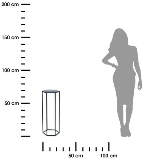 Stojan na kvety 70x24 cm čierna
