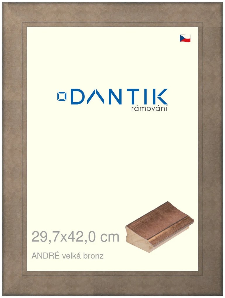 DANTIK rám na obraz 29,7x42 | ANDRÉ velká bronz (Plexi Čiré)