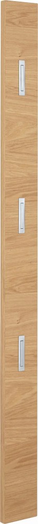 XXXLutz VEŠIAKOVÝ PANEL, farba duba, divoký dub, 14/170/3 cm Novel - Vešiakové steny - 001529002602