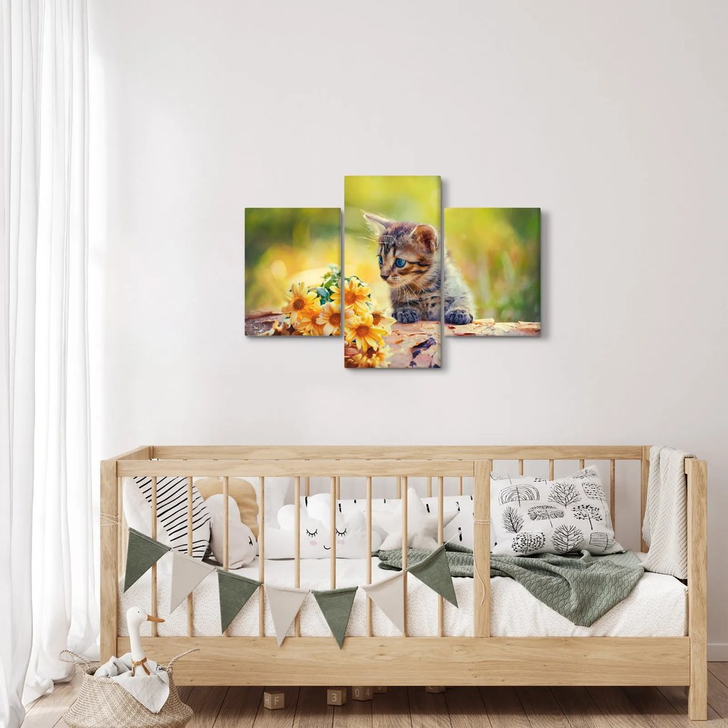 Obraz mačiatka pozerajúce sa na kvetinu (90x60 cm)