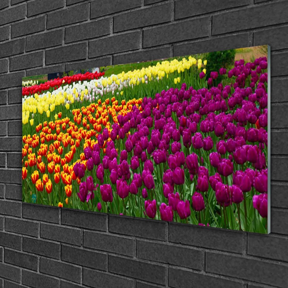 Obraz na skle Tulipány kvety 100x50 cm 2 Prívesky