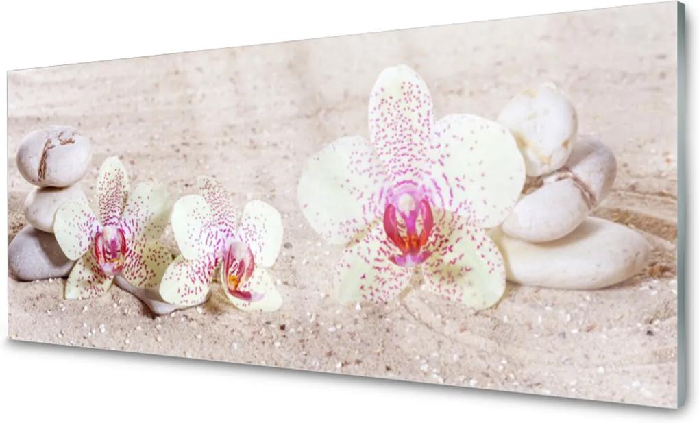 Obraz plexi Orchidea Kamene Zen Písek