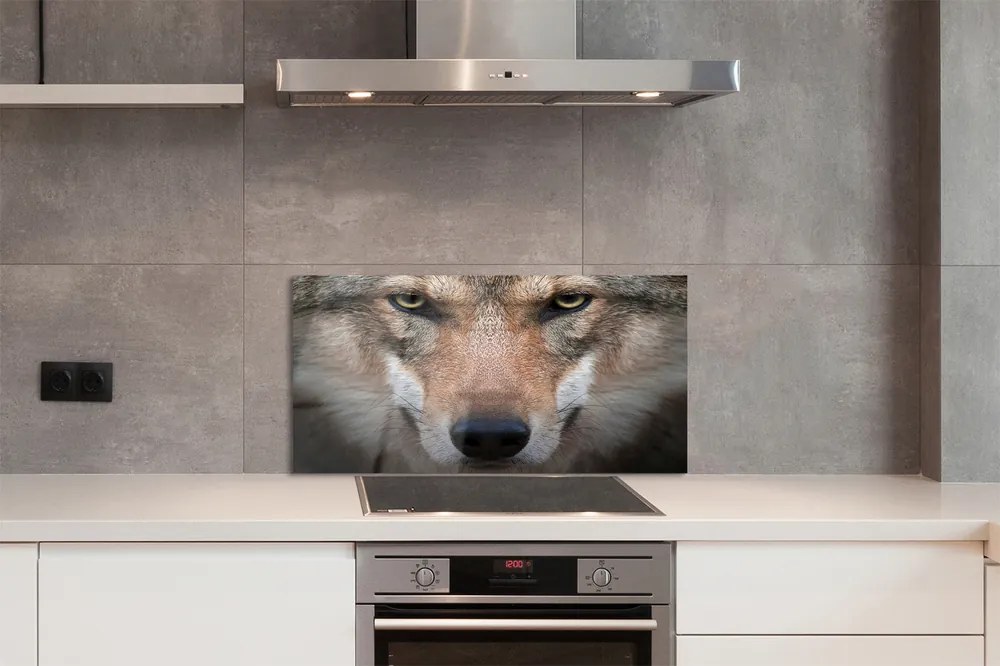 Nástenný panel  wolf Eyes 120x60 cm