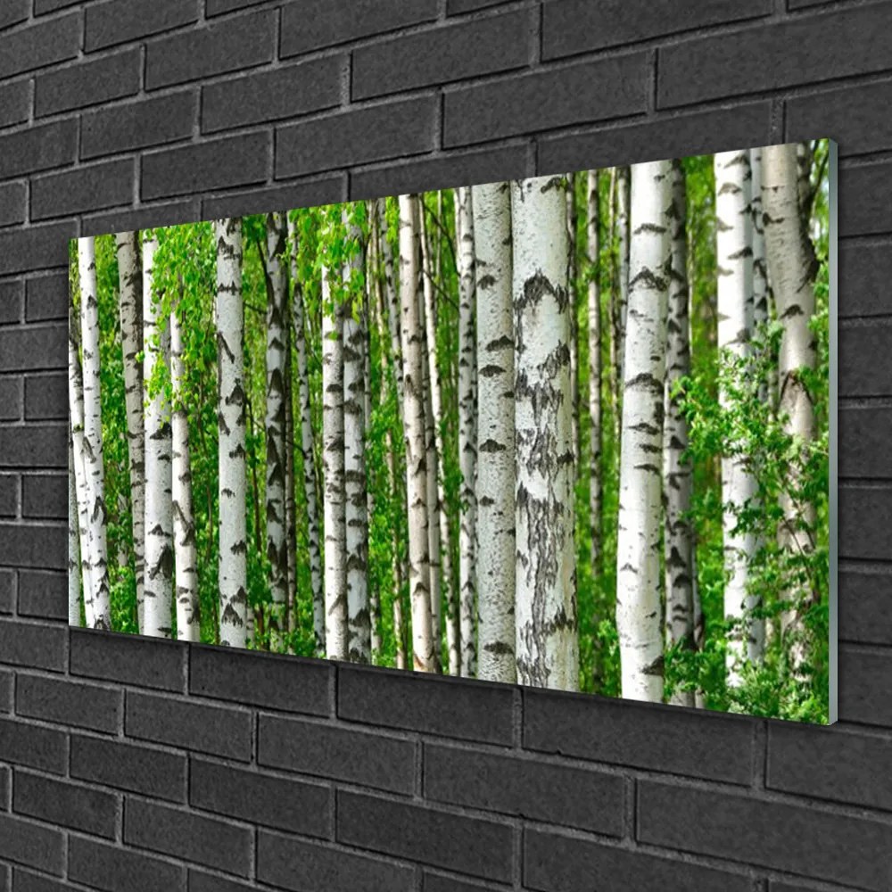 Skleneny obraz Les rastlina príroda 140x70 cm