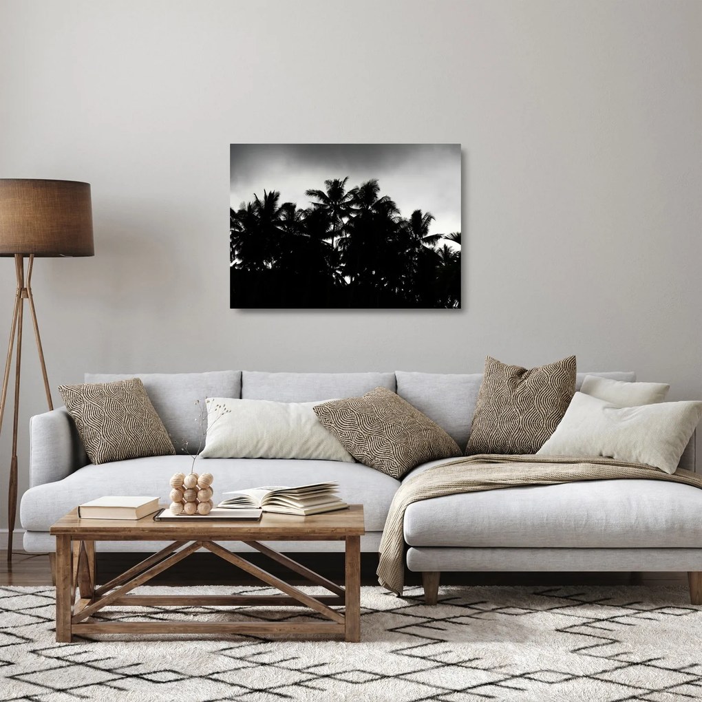 Sklenený obraz čiernobiely - palmy (70x50 cm)