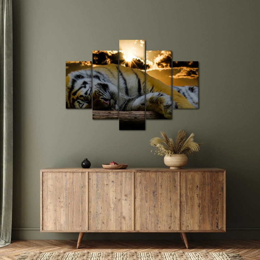 Obraz spiaceho tigra (150x105 cm)