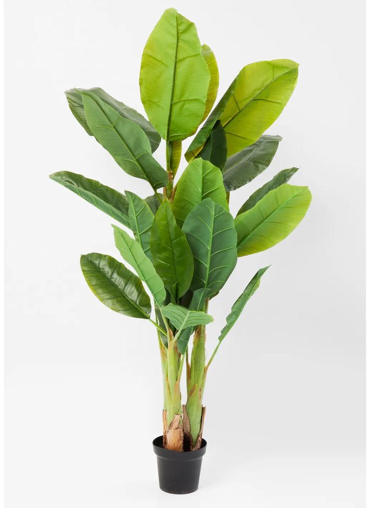 Banana dekoratívna rastlina 180 cm