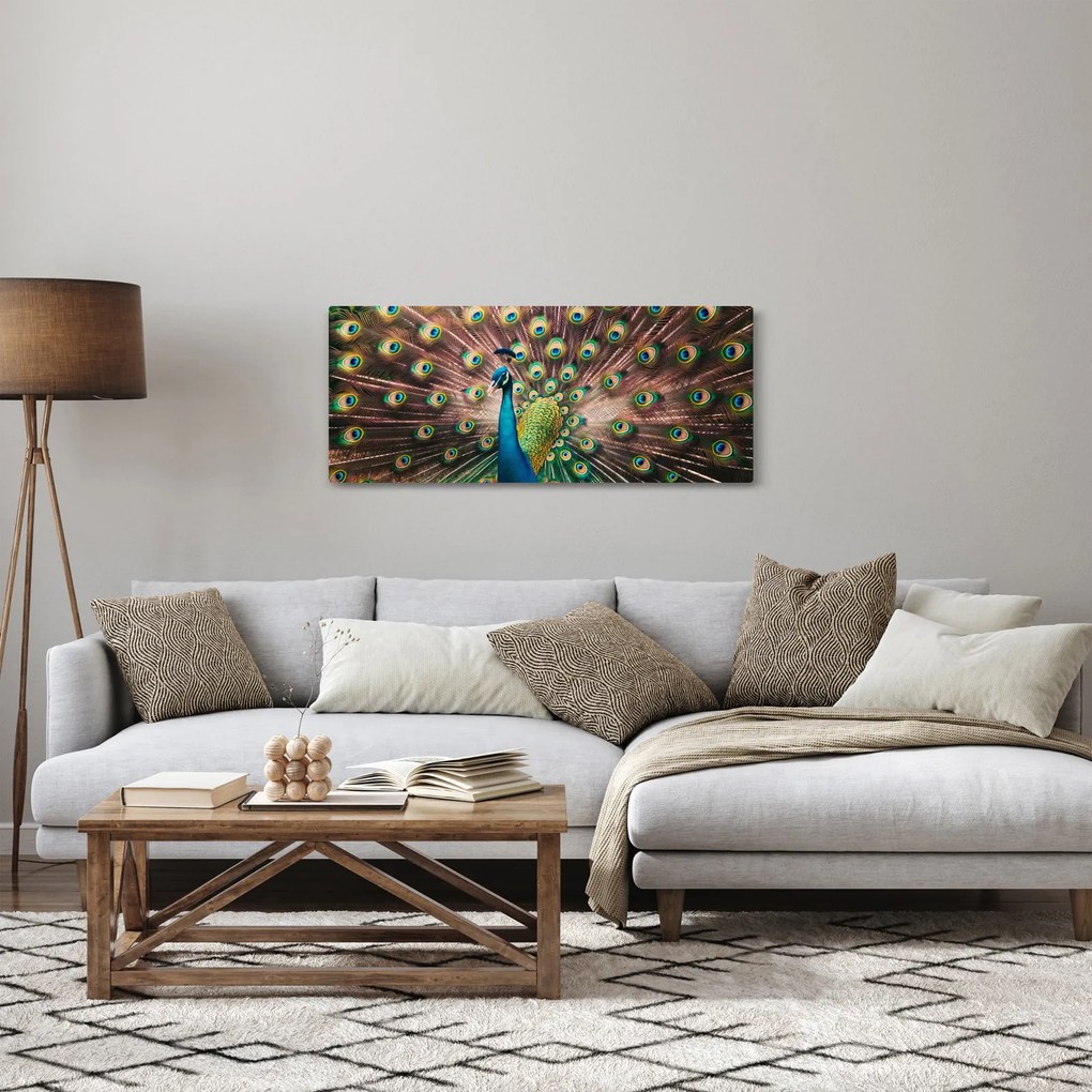Obraz - Páv (120x50 cm)
