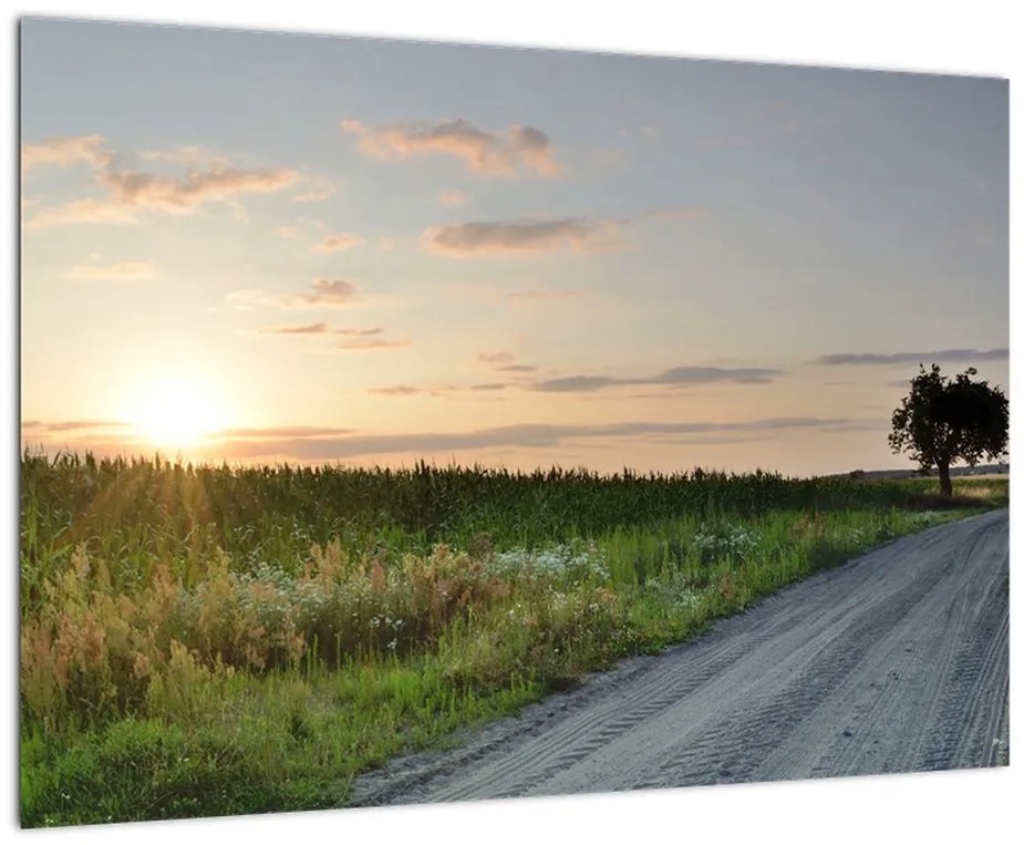 Západ slnka - obraz